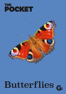bokomslag The Pocket Butterflies