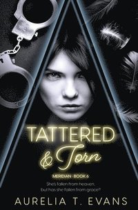 bokomslag Tattered & Torn