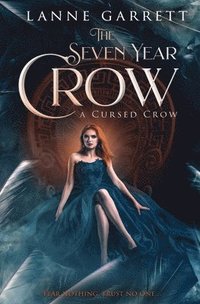 bokomslag The Seven Year Crow