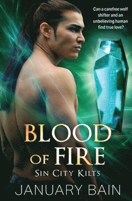 bokomslag Blood of Fire