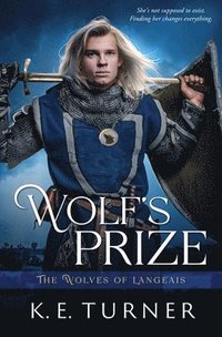 bokomslag Wolf's Prize