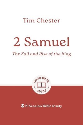 bokomslag 2 Samuel: The Fall and Rise of the King