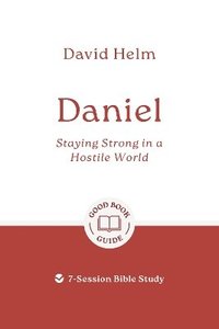 bokomslag Daniel: Staying Strong in a Hostile World