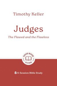 bokomslag Judges: The Flawed and the Flawless