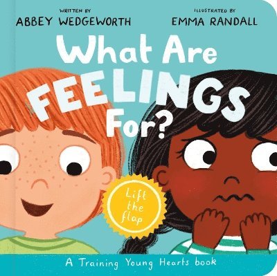 What Are Feelings For? Board Book 1