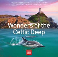 bokomslag Wonders of the Celtic Deep