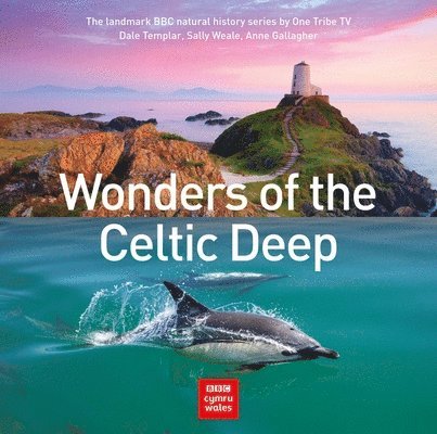 Wonders of the Celtic Deep 1