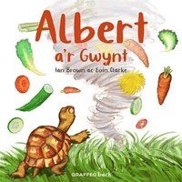 bokomslag Albert a'r Gwynt