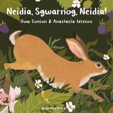 Dom Conlon - Neidia, Sgwarnog, Neidia!, Häftad