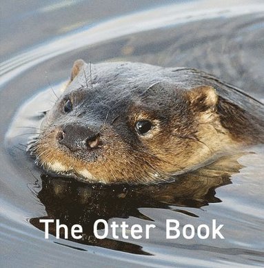 bokomslag The Otter Book