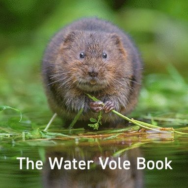 bokomslag The Water Vole Book