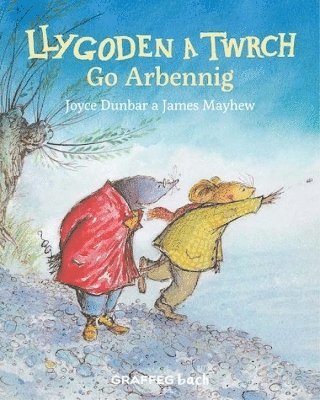 Joyce Dunbar - Llygoden a Twrch Go Arbennig, Häftad