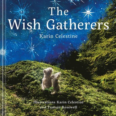 The Wish Gatherers 1