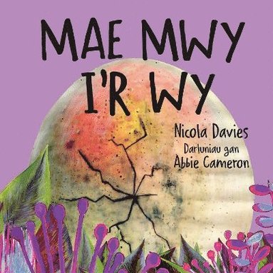 bokomslag Mae Mwy I'r Wy