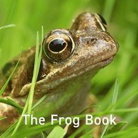 bokomslag Frog Book, The