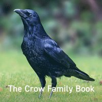 bokomslag Crow Family Book, The