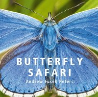 bokomslag Butterfly Safari