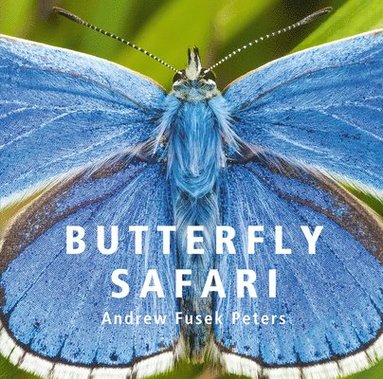 Andrew Fusek Peters - Butterfly Safari, Inbunden