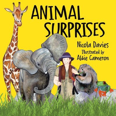 Animal Surprises