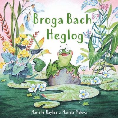 Broga Bach Heglog 1