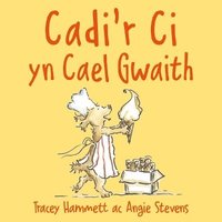 bokomslag Cadir Ci yn Cael Gwaith