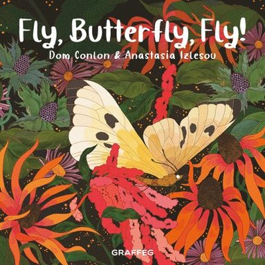 Dom Conlon - Fly, Butterfly, Fly!, Häftad
