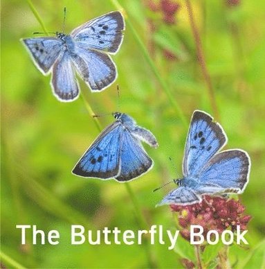 bokomslag Nature Book Series: The Butterfly Book