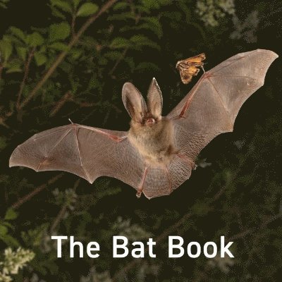 The Bat Book 1