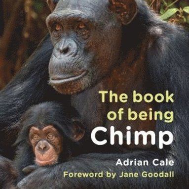 bokomslag The Book of Being Chimp