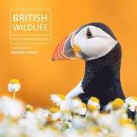 bokomslag British Wildlife Photography Awards 13