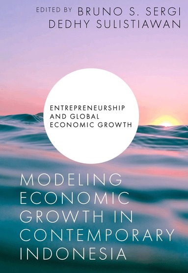 Bruno S. Sergi, Dedhy Sulistiawan - Modeling Economic Growth in Contemporary Indonesia, Inbunden
