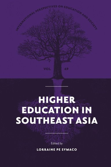 bokomslag Higher Education in Southeast Asia