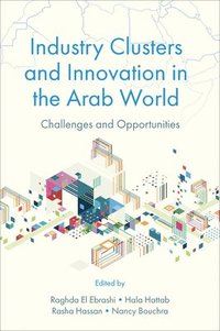bokomslag Industry Clusters and Innovation in the Arab World