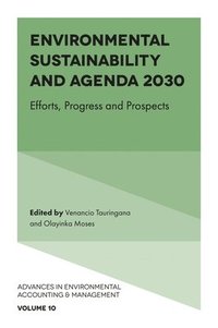 bokomslag Environmental Sustainability and Agenda 2030
