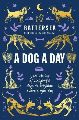 Battersea Dogs and Cats Home - A Dog a Day 1