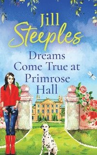 bokomslag Dreams Come True at Primrose Hall