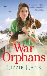 bokomslag War Orphans