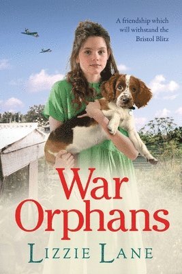 bokomslag War Orphans