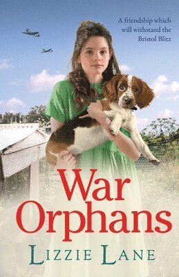 bokomslag War Orphans