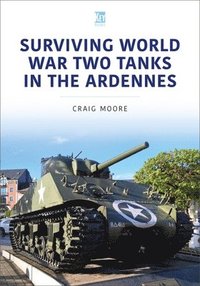 bokomslag Surviving World War Two Tanks in the Ardennes