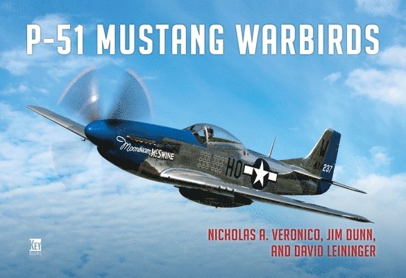 P-51 Mustang Warbirds 1