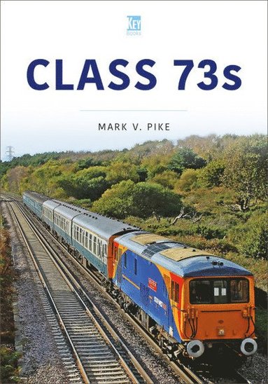 bokomslag Class 73s