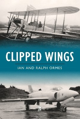 Clipped Wings 1