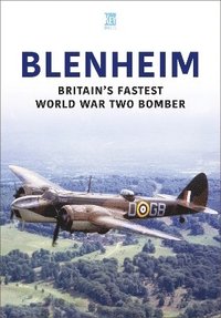 bokomslag Blenheim