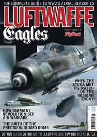bokomslag Luftwaffe Eagles