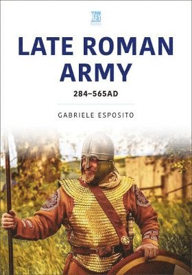 bokomslag The Late Roman Army