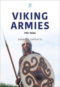bokomslag Viking Armies