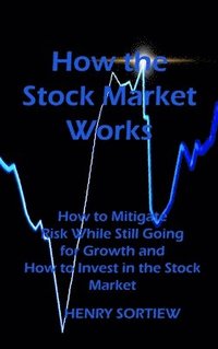 bokomslag How the Stock Market Works