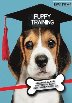 Puppy Training 1