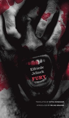 Elfriede Jelinek, Gitta Honegger, Milind Brahme - Fury, Inbunden